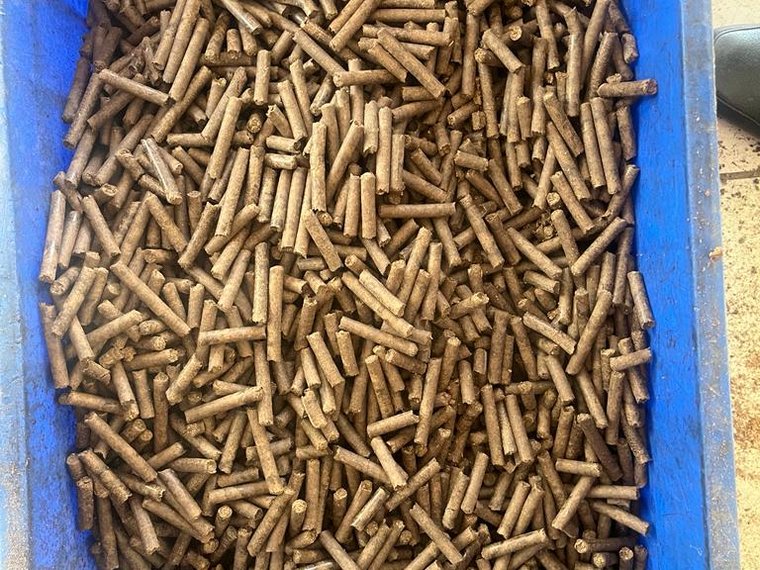 Bio-Coal Pellets