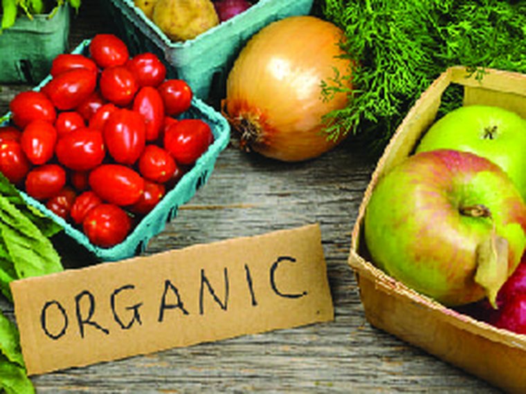 Organic Fresh Fruits