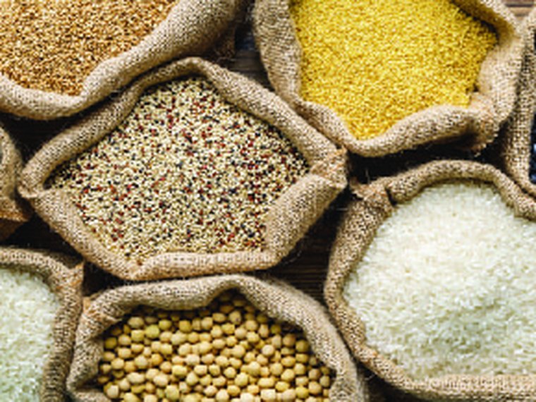 Organic Grains & Pulses